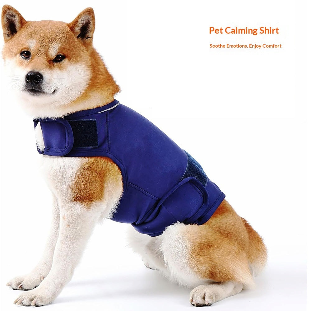 eda815c55232c70f7b5faed1e0b7ae46